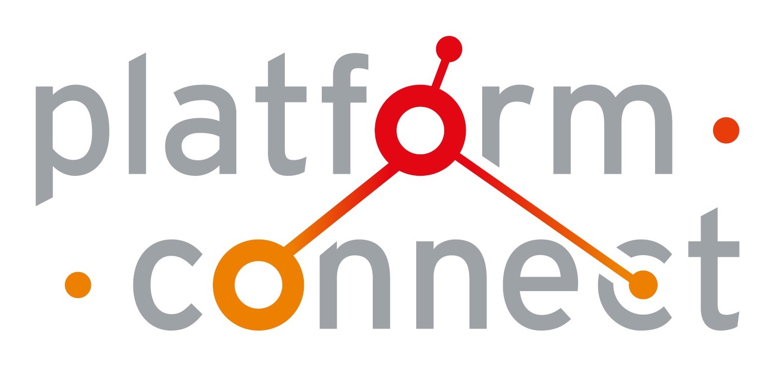 Connect - Liliane Fonds logo